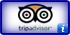 tripadvisor